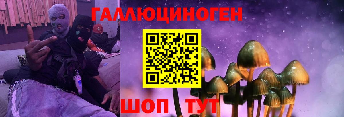 Старая Русса  Псилоцибиновые грибы GOLDEN TEACHER  Вход с VPN 